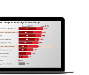 Keresőmarketing kutatás